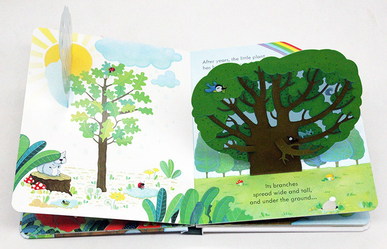 偷偷看里面系列大树英文原版绘本 Usborne peep inside a tree  科普百科纸板翻翻洞洞书幼儿童早教启蒙认知英语读本图画书读物