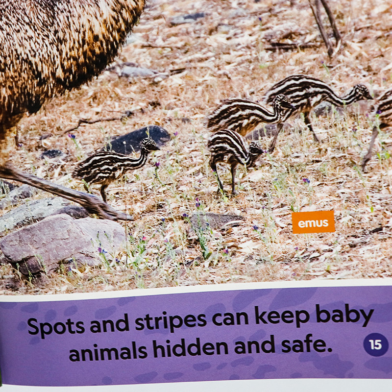 美国国家地理分级阅读系列初阶 条纹与斑点 英文原版 National Geographic(Pre-Readers): Stripes and Spots 儿童英语启蒙读物