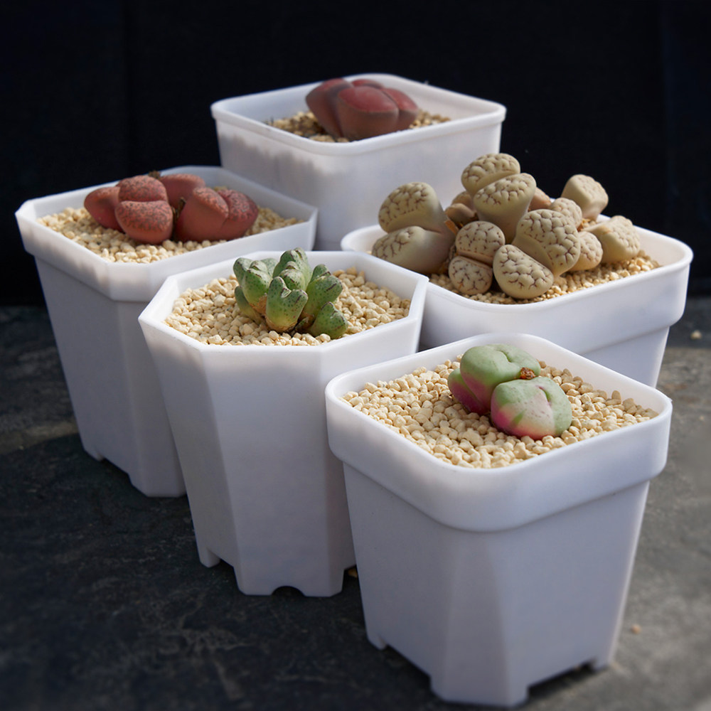 光语石 特厚塑料方盆八角盆白色简约磨砂 多肉度夏专用盆白方黑方,淘宝优惠券,粉丝福利购,淘宝优惠卷