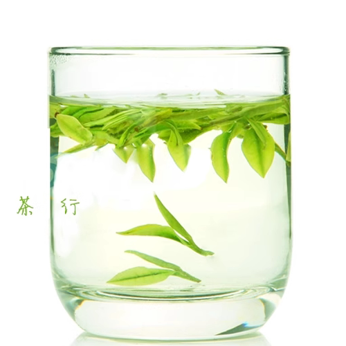 2026年新茶绿茶 明前头采安吉高山白茶250g茶叶包邮 野生 - 图0