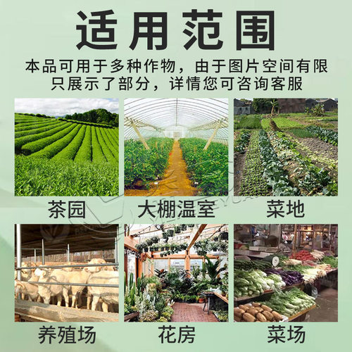 诱虫板果园大棚沾虫板黄板双面粘虫板果蝇贴黏虫板针蜂贴飞虫专用 - 图1