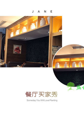 景德镇素色花瓶客厅摆件陶瓷器