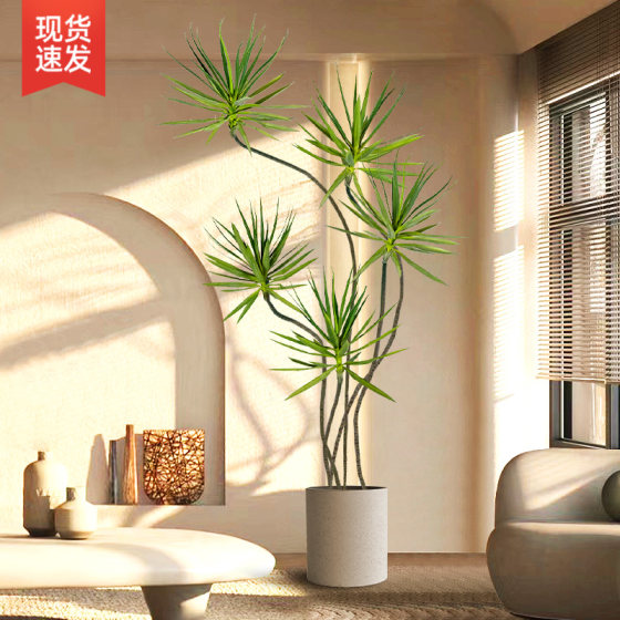 Large floor-standing ornaments dragon blood tree entrance decoration
