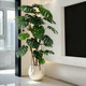 Monstera simulated green plants, living room atmosphere, green plants, indoor light luxury decoration, bionic plants, floor-standing ornaments, fake trees