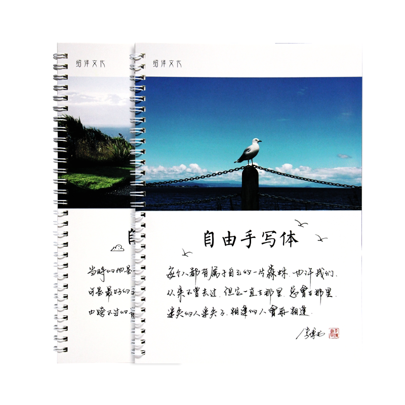 Handwritten Calligraphy Calligraphy For Boys And Girls Beautiful Calligraphy Pen Calligraphy Book College Students Calligraphy Artifact Adult Calligraphy Adult Hard Pen Line Script Copy Love Letter Pianpian Jianghu Style Calligraphy Practice Calligraphy