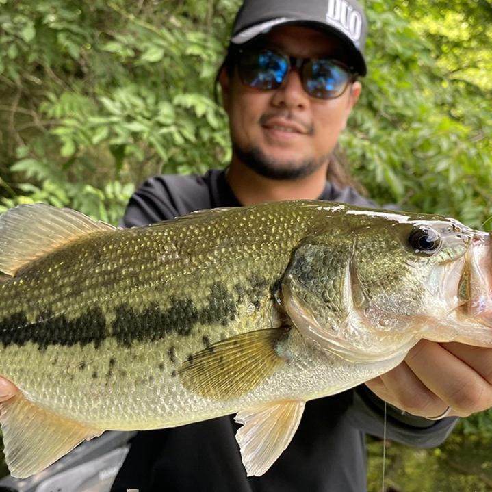 DUO浮水棒棒虫Wriggle ND SLIM3寸日本进口黑坑内德鲈鱼面条虫,淘宝优惠券,粉丝福利购,淘宝优惠卷
