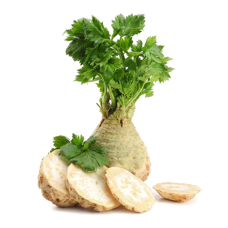 根芹苗四季芹菜苗子阳台庭院辣椒番茄苗西红柿贝贝大疙瘩老桩种球