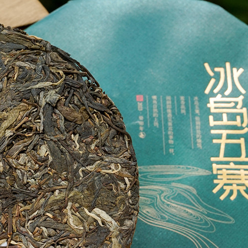 冰岛五寨生茶】云南临沧2023年普洱古树春茶叶雨婷家茶铺 500g/提 - 图0