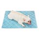 Diamond velvet dog sleeping mat summer pet mat