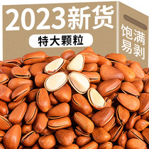 2023 New goods Northeastern pine nuts Nuts Dry Fruits Extra-large Grain Special Freshly Hand Peeled Red Pine Wholesale Snacks