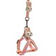 Zhen pet dog harness dog leash
