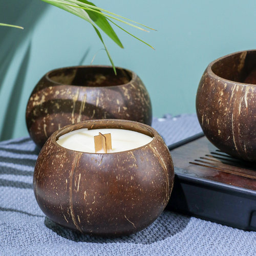 抛光椰皇壳天然椰子壳工艺品吊篮多肉盆种植板胡空椰壳 2个包邮 - 图1