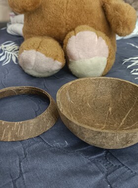 天然椰子壳底座固定支架创意
