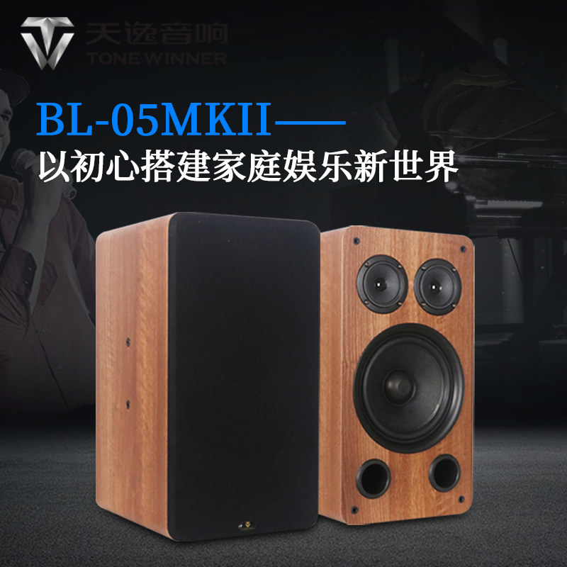 Winner/天逸BL-05MKII百灵五号家用KTV卡拉OK卡包音箱家庭K歌音响 - 图0