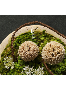 天青苔绿 隐奢大理石苔藓花艺摆件 样板间酒店书房玄关花艺花器