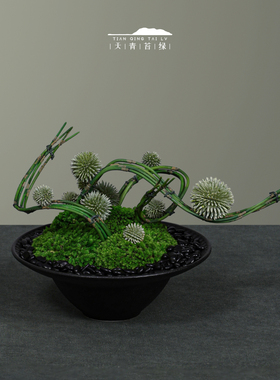 天青苔绿新中式禅意小盆景