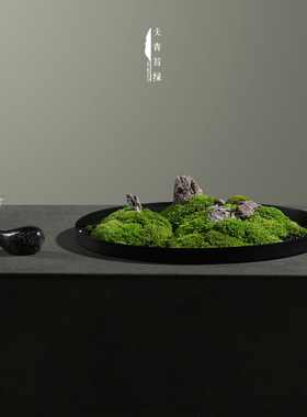 天青苔绿新中式禅意永生苔藓