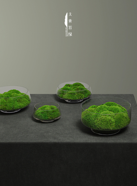 天青苔绿 新中式永生苔藓微景观 茶室装饰茶盘室内造景桌面摆件