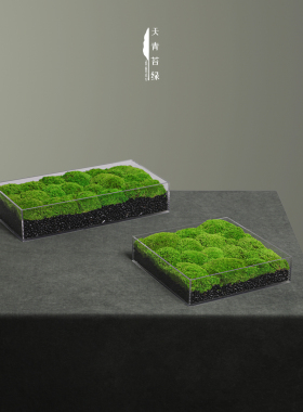 天青苔绿永生苔藓造景摆件
