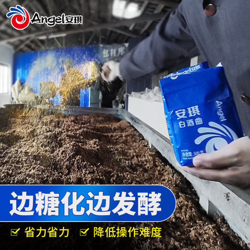 【官方自营】安琪白酒曲40包+金香霸20包 生熟料传统酵母酒曲酵母 - 图1