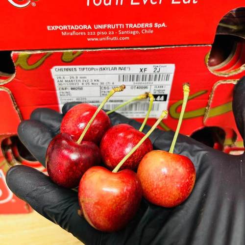 现货4J智利斯凯拉雷黄金车厘子Skylar Rae礼盒新鲜孕妇天空之城 - 图0