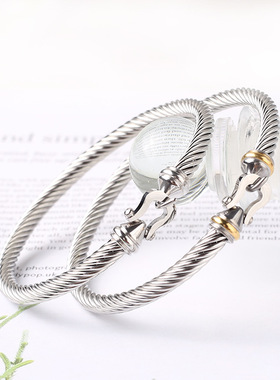 不锈钢马蹄扣手镯女式扭形个性金属钛钢钢丝手环