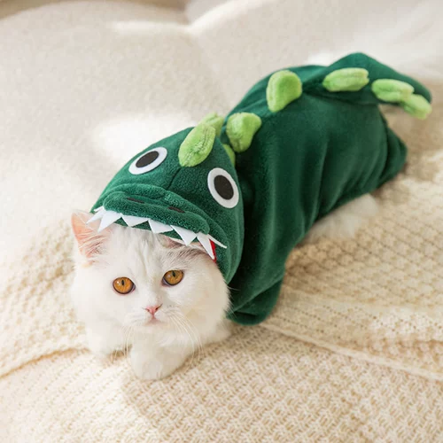 Котенок 衣 小    ㄅ ㄅ ㄅ ㄅ ɡ ɡ ㄨ ㄨ ㄨ ㄨ ㄨ 小 小     小 小 小 小