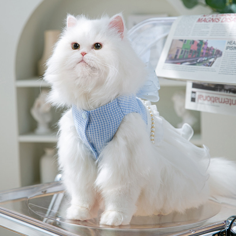 宠物生活新趋势：猫爬架如何让猫咪更加快乐