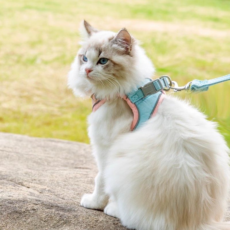 遛猫牵引绳猫咪专用防挣脱不勒脖外出溜猫绳工字型缅因猫牵引背心,淘宝优惠券,粉丝福利购,淘宝优惠卷