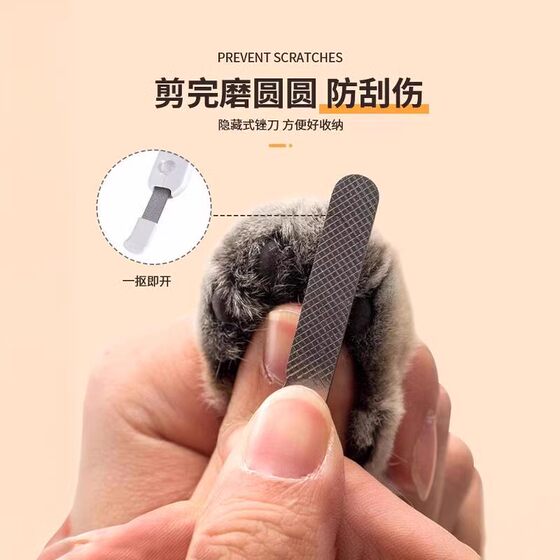 Nail Artifact LED Light Beginner Pet Supplies Cat