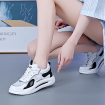 Gait Dance Special Shoes Men And Women The Same Soft Bottom Square Dance Shoes Net Face Breathable Light Sneakers Jump Playground Shoes All Four Seasons