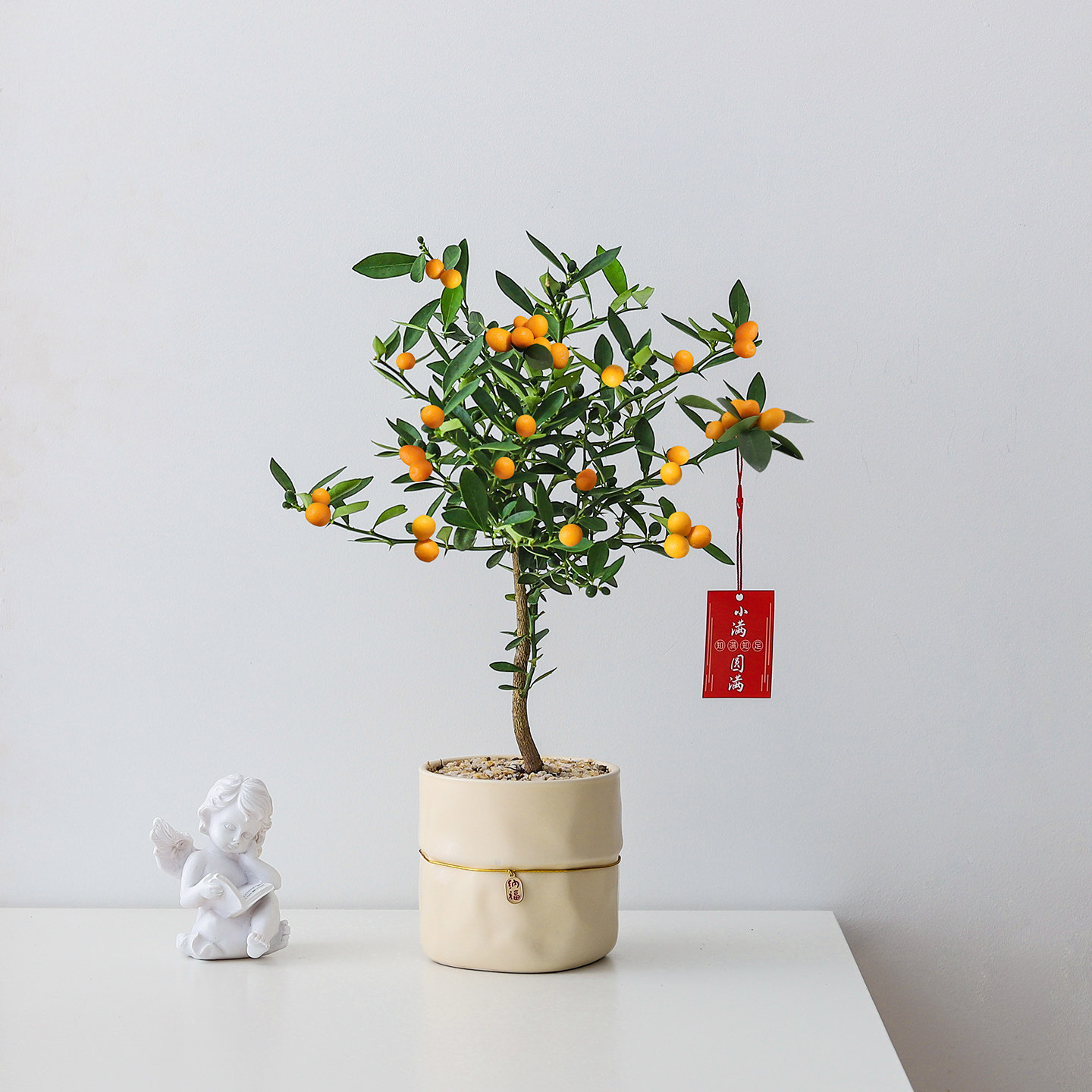 金豆盆栽带果客厅植物办公室内工位桌面四季好养绿植净化空气花卉,淘宝优惠券,粉丝福利购,淘宝优惠卷