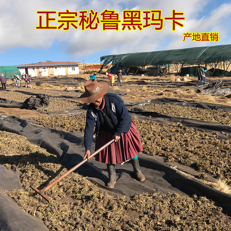 正品秘鲁干片干果玛咖片进口黑玛卡 爱禧氏玛咖干