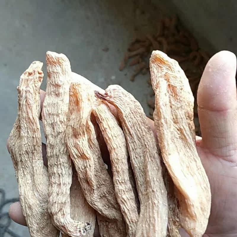 100g10 爱禧氏天麻