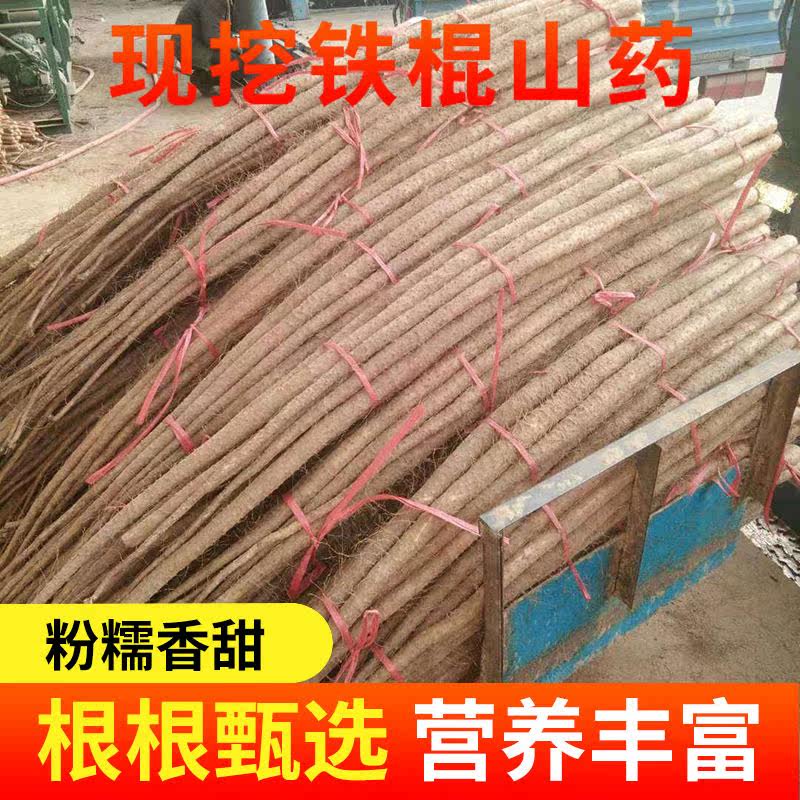  爱禧氏山药