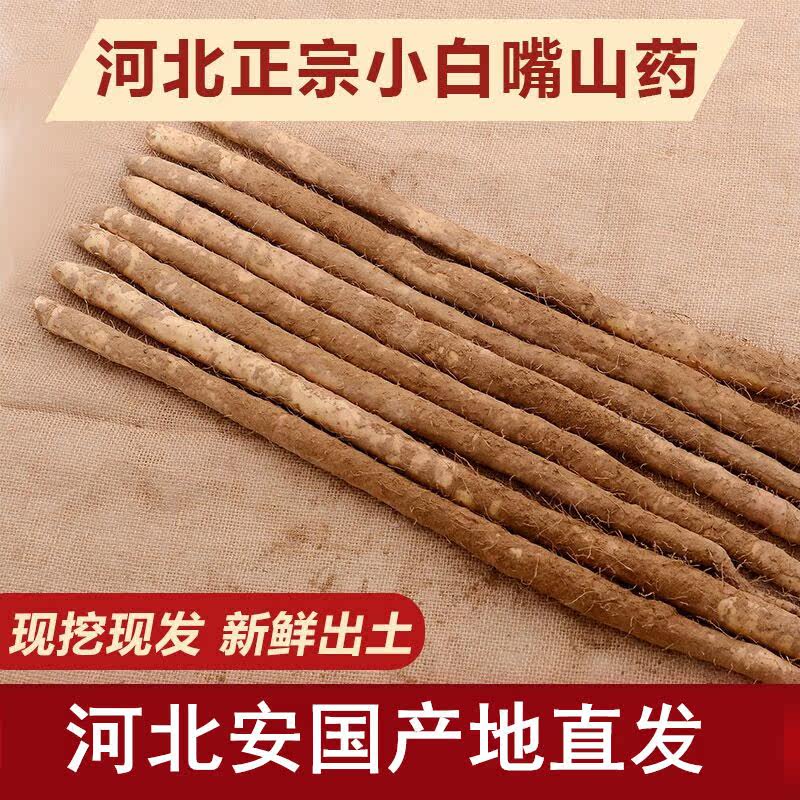  爱禧氏山药
