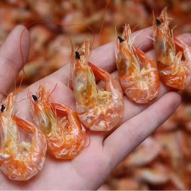 福建东山岛海虾干 新鲜海虾原味淡干 干货零食海鲜即食 顺丰包邮