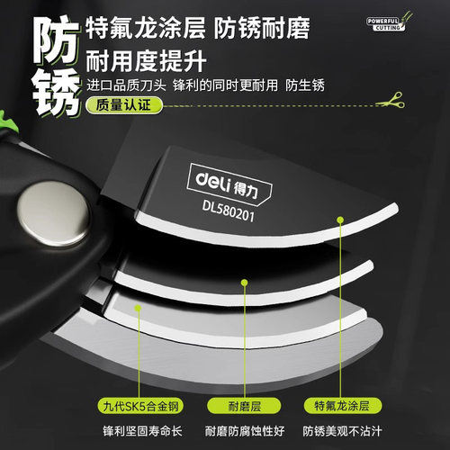 得力剪枝剪刀园林花艺修剪树枝剪刀果树剪刀专业花剪园艺花卉剪子 - 图3