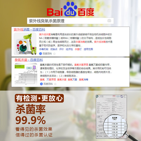 Esterilizador de zapatos UV Yichen con ozono temporizado