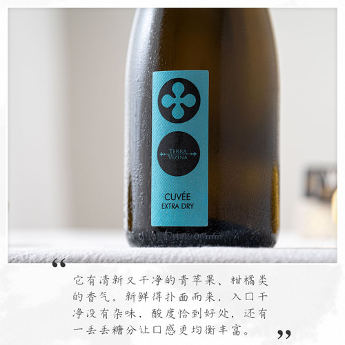 清新可人｜意大利进口土牌绝干高泡起泡酒气泡酒干型白葡萄酒 - 图0