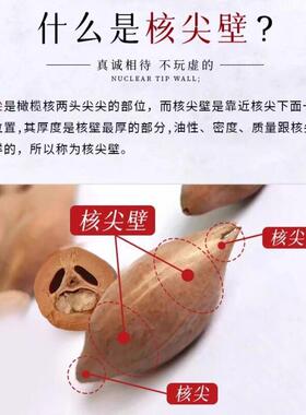 核尖壁手串小尺寸叠戴野橄榄核尖