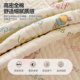 Small fresh cotton printed bed cover single piece for all seasons Tatami quilted kang cover thickened bed sheet cover three-piece set