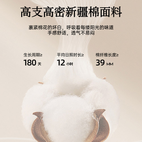 A类新疆长绒棉床笠纯棉席梦思床垫套保护罩全棉床单防滑罩三件套 - 图1