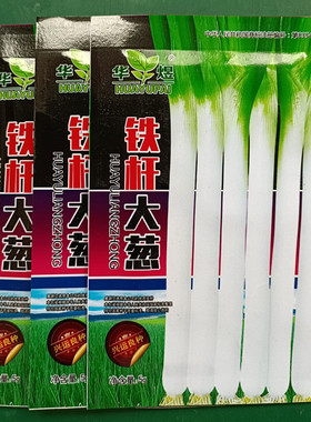 9.9元3包四季小香葱种子小葱种籽农家葱籽菜种子阳台盆栽蔬菜种子