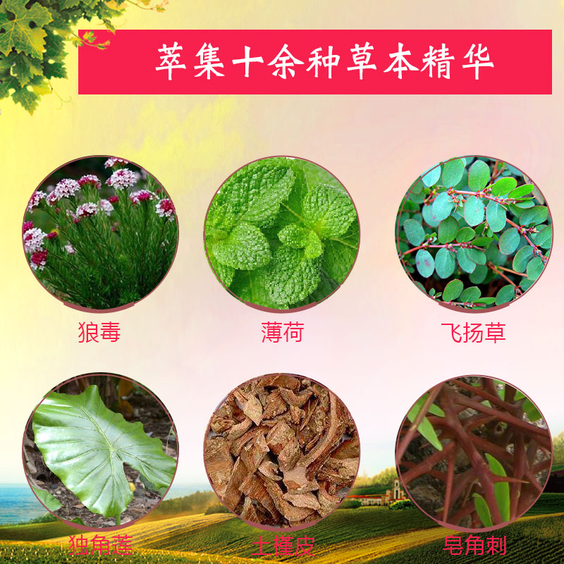 肤毒湿痒膏草本拔毒地丁紫花狼毒外用皮康湿痒王皮肤止痒抑菌乳膏 - 图0