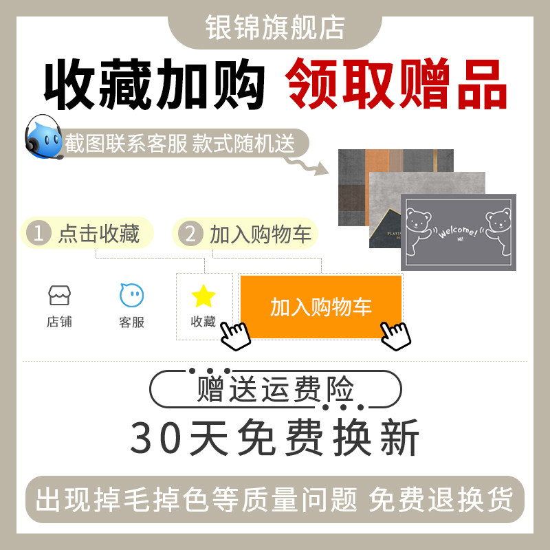 卧室少女风可爱家用加厚防滑床边毯 银锦床边毯