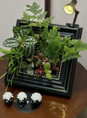 把植物镶嵌相框桌面造景摆件