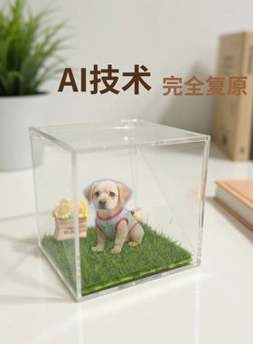 宠物全息数字屋电子宠物智能伴侣