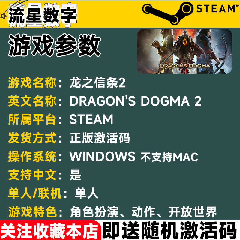Steam Dragon's Creed 2 Country KEY