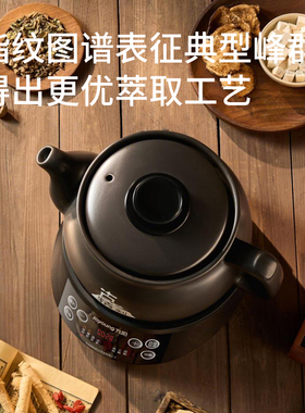 九阳养生壶全自动专用快慢煎药壶